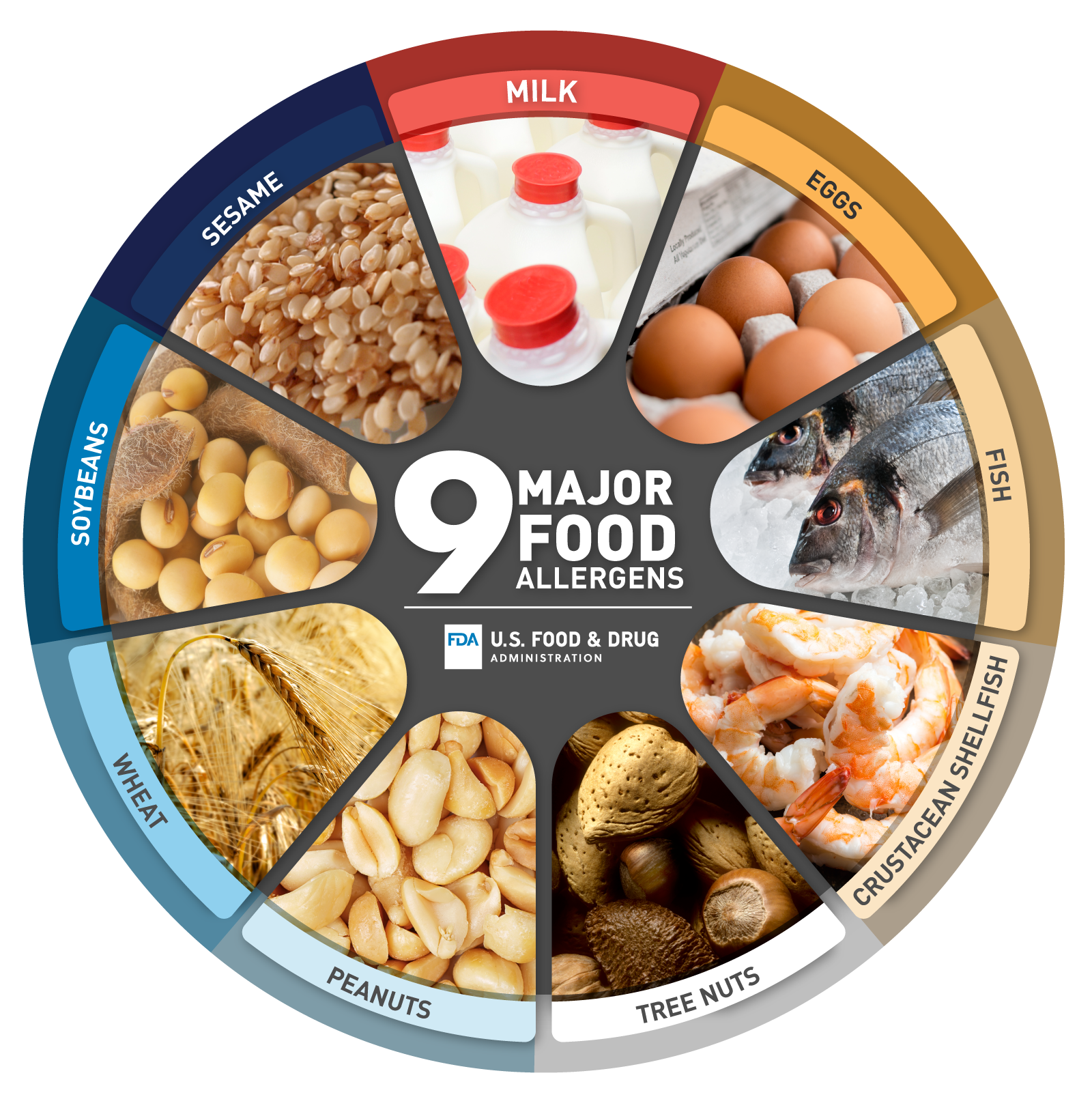 The FDA's nine major food allergens: milk, eggs, fish, crustacean shellfish, tree nuts, peanuts, wheat, soybeans and sesame
